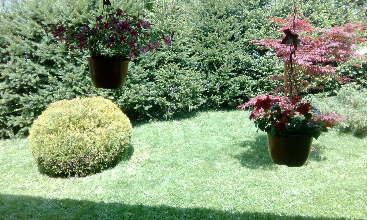 Apartmani Nais Zlatibor Extérieur photo