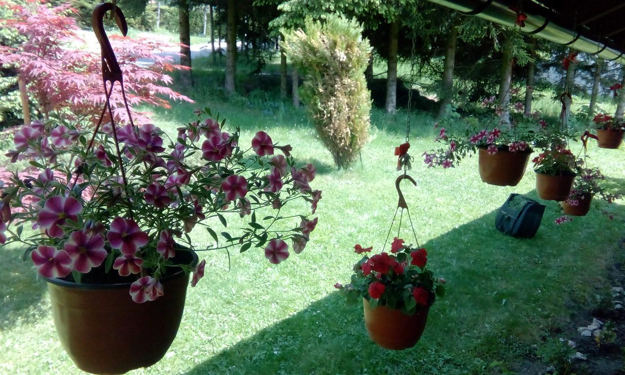 Apartmani Nais Zlatibor Extérieur photo
